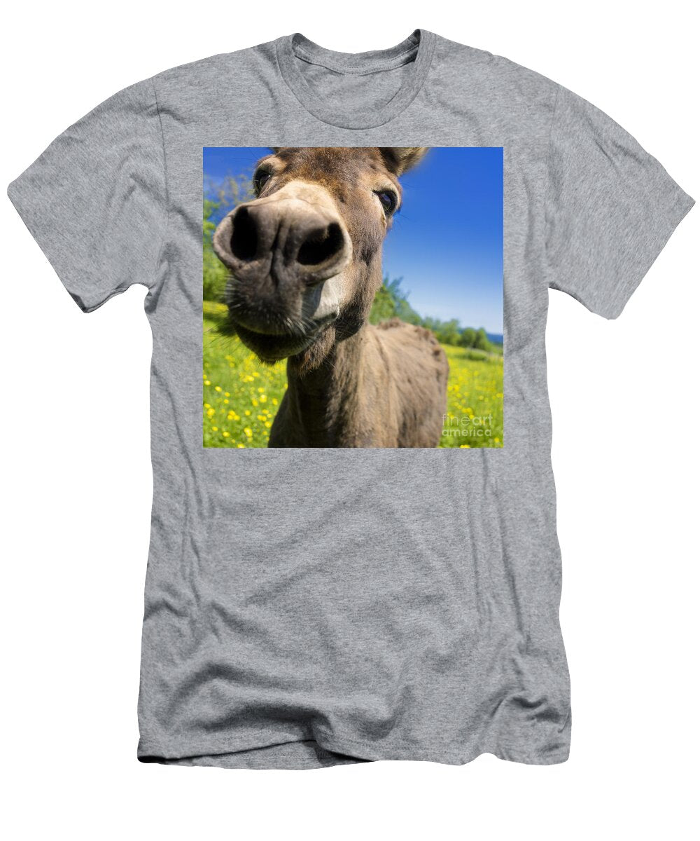Donkey Bernard Jaubert T-Shirt
