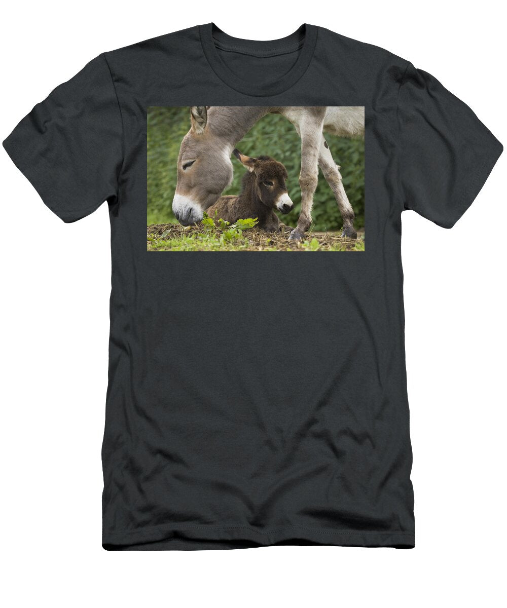 Donkey Equus Asinus Adult with Foal Konrad Wothe T-Shirt