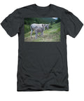 Donkey Female and Young Used for Tourist Rides At Jean E Roche Natureplcom T-Shirt