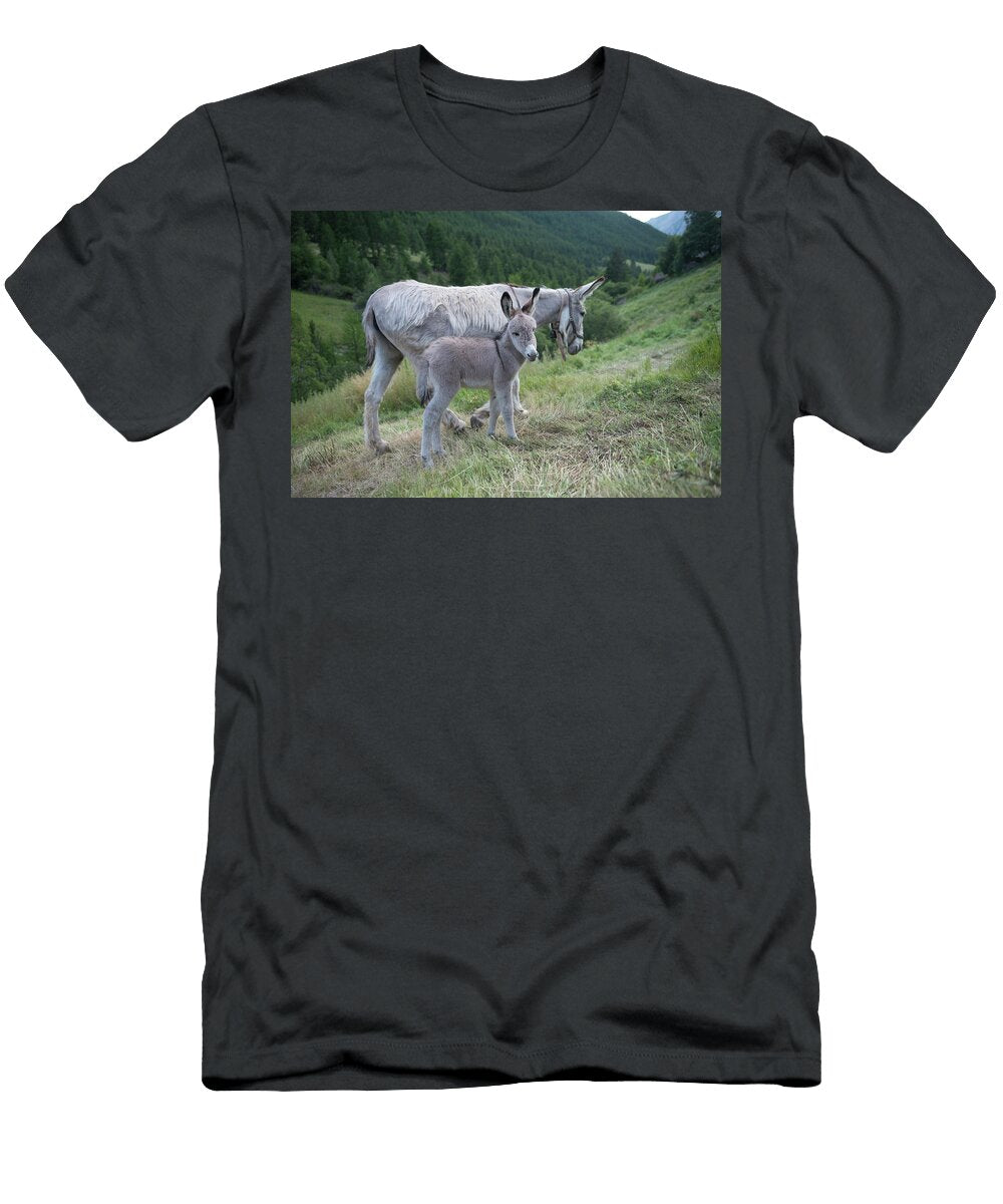 Donkey Female and Young Used for Tourist Rides At Jean E Roche Natureplcom T-Shirt
