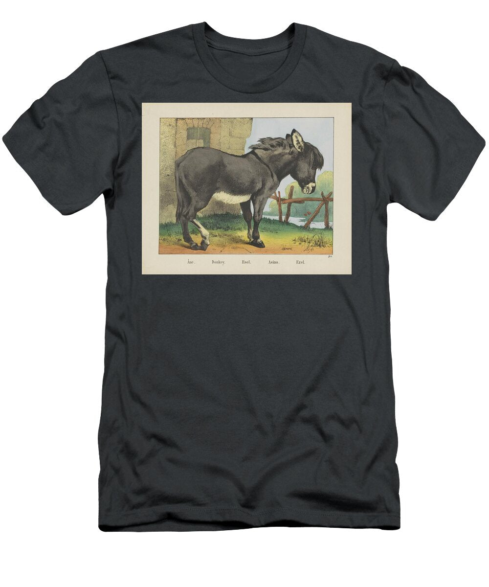 Donkey Firma Jos Scholz 1829 1880 Celestial Images T-Shirt