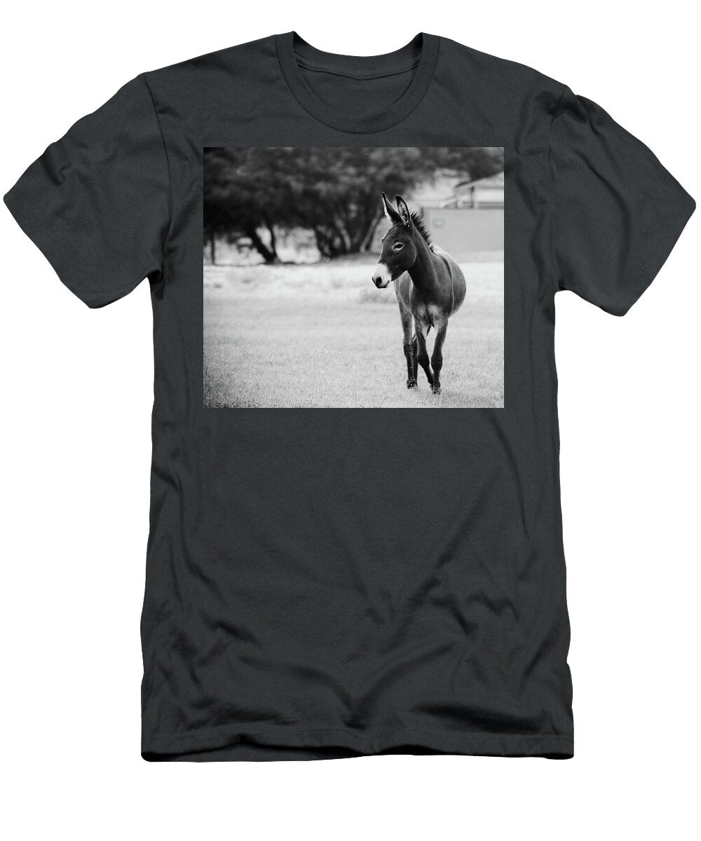 Donkey Hyuntae Kim T-Shirt