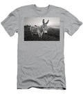 Donkey in Ireland Pierre Leclerc T-Shirt