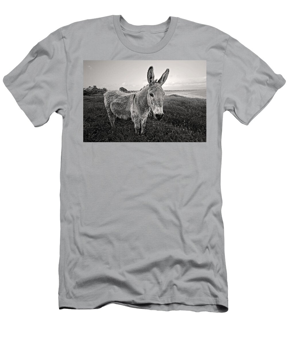 Donkey in Ireland Pierre Leclerc T-Shirt