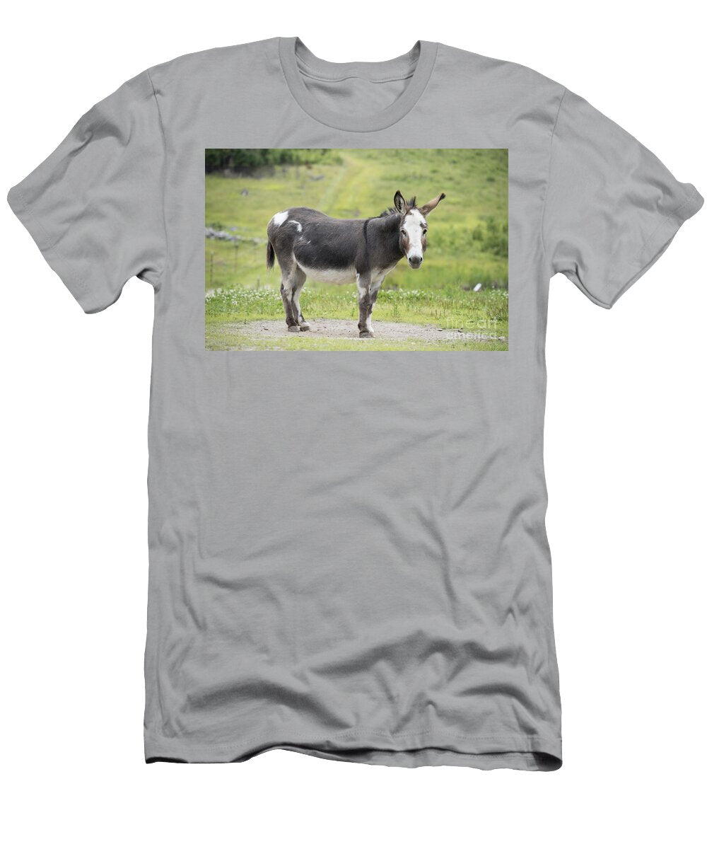 Donkey Juli Scalzi T-Shirt