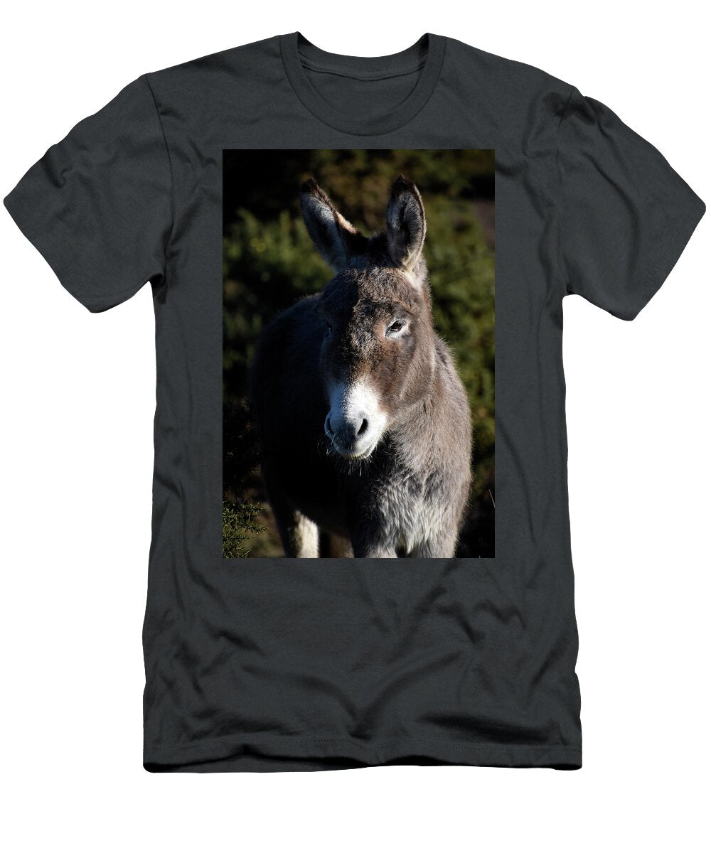 Donkey Portrait At New Forest National Park England Loren Dowding T-Shirt