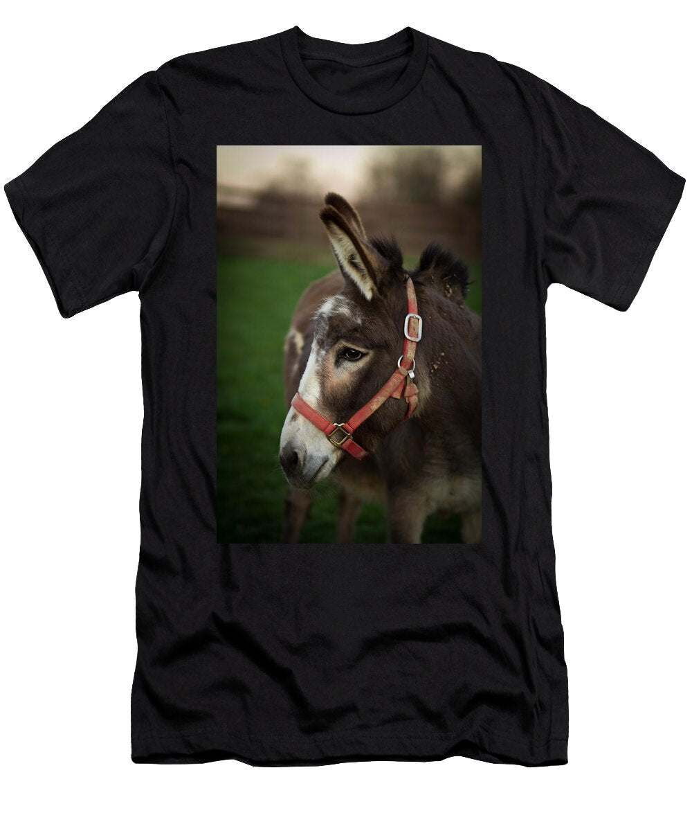 Donkey Shane Holsclaw T-Shirt