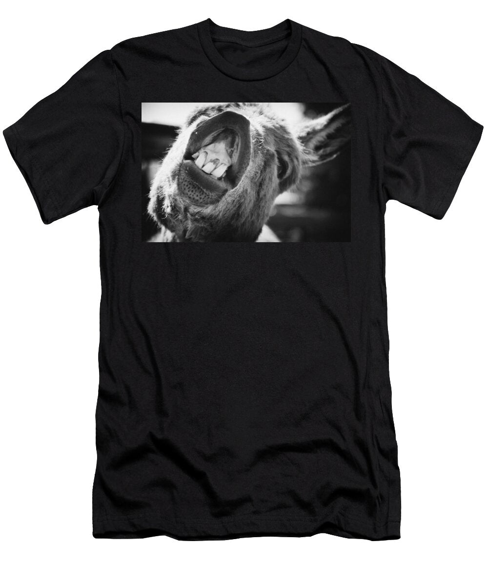 Donkey Smile Stephanie Mcdowell T-Shirt