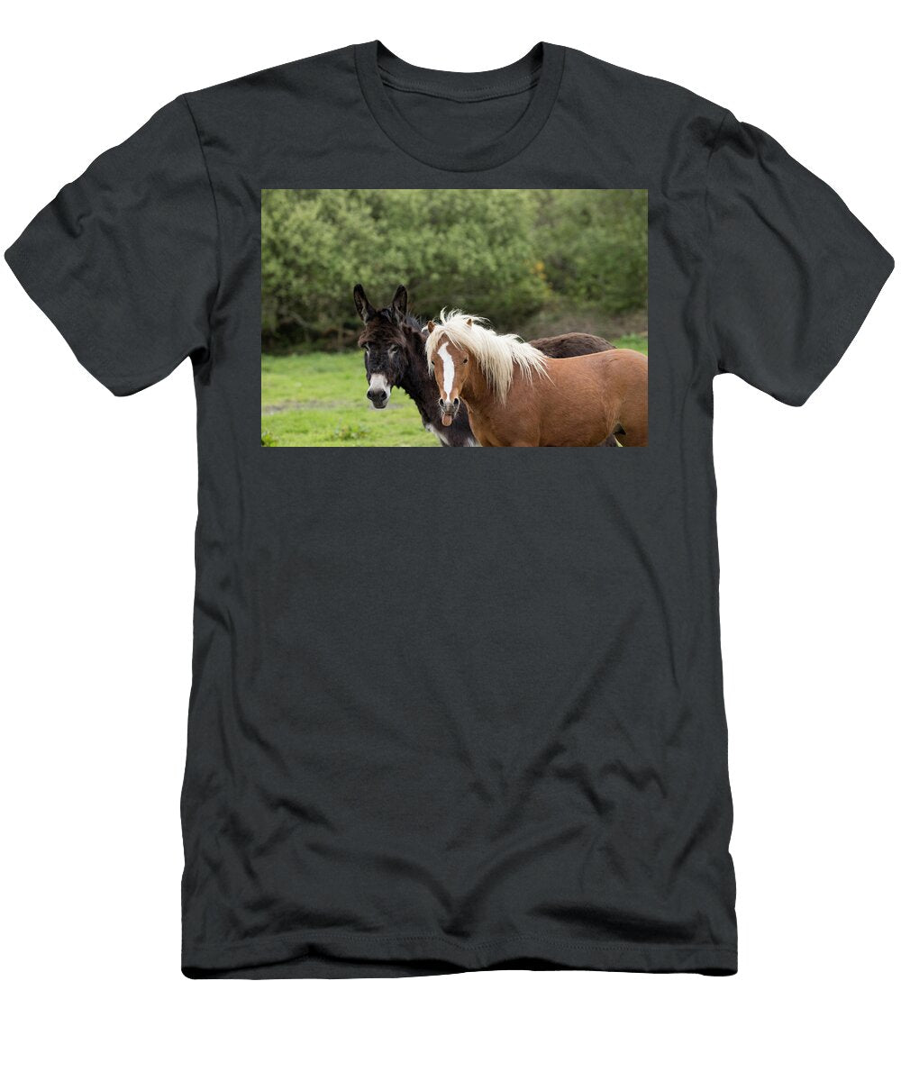 Donkey Standing Alongside a Kerry Bog Pony Stallion a Kristel Richard Natureplcom T-Shirt