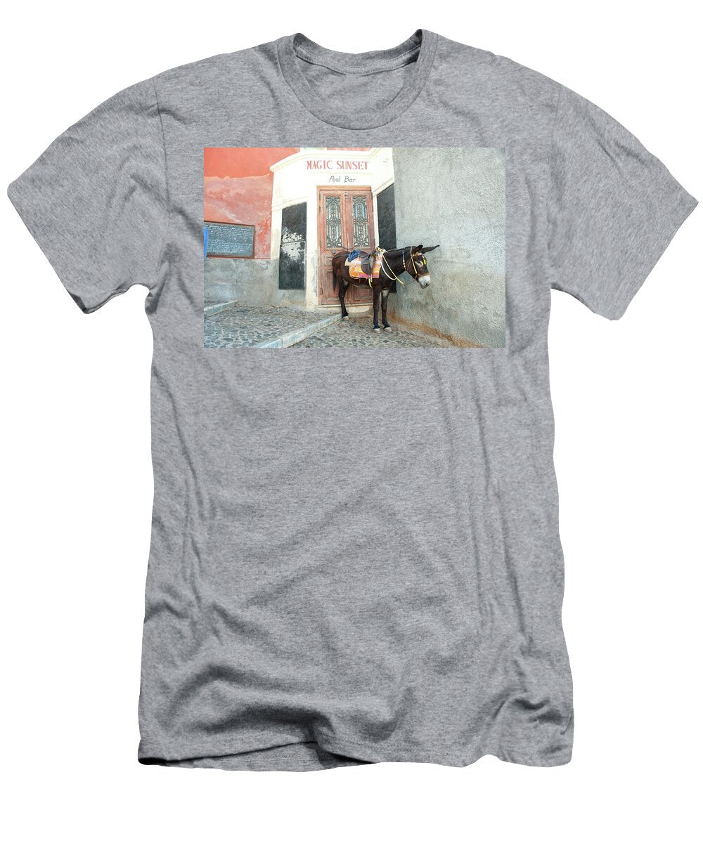 Donkey Standing on a Street Fira Animal Images T-Shirt