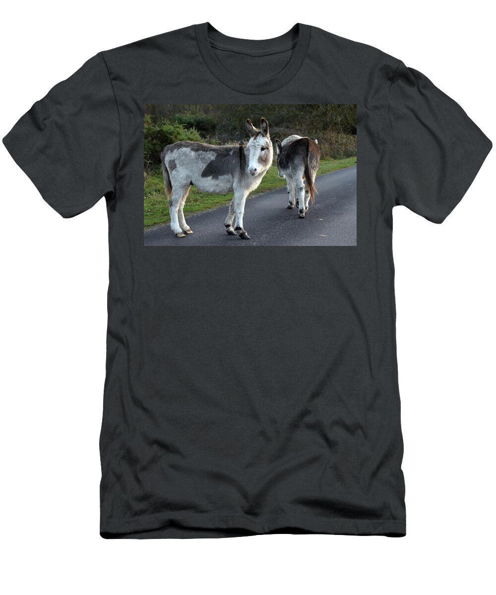 Donkey Wareham Dorset Loren Dowding T-Shirt