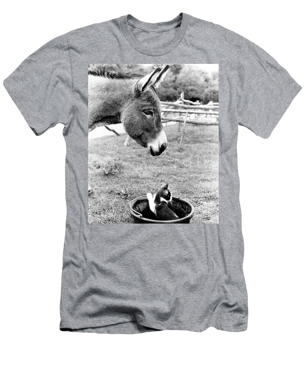 Donkey with Cat in Bucket England Great Britain 1967 Photo Unknown T-Shirt