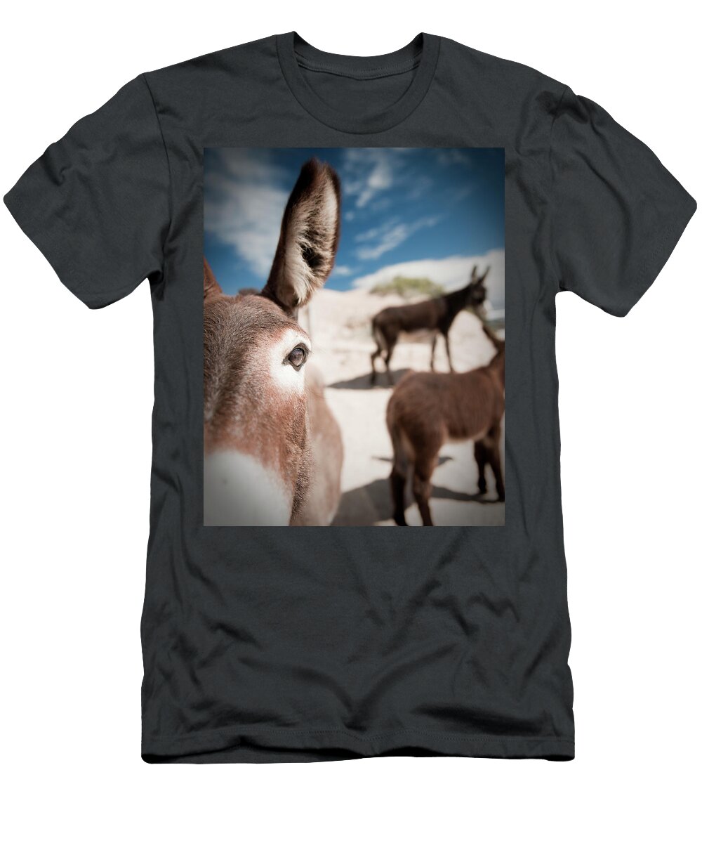 Donkeyes in Baja Mexico Nick Hall T-Shirt