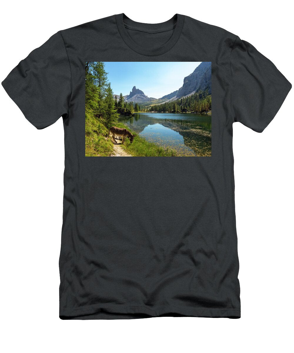 Donkeys At the Edge of Lake Federa Surrounded By Mountain Konrad Wothe Natureplcom T-Shirt