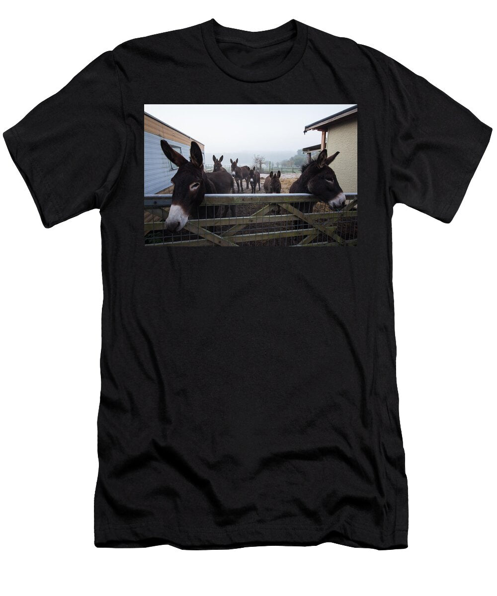 Donkeys Dawn Oconnor T-Shirt