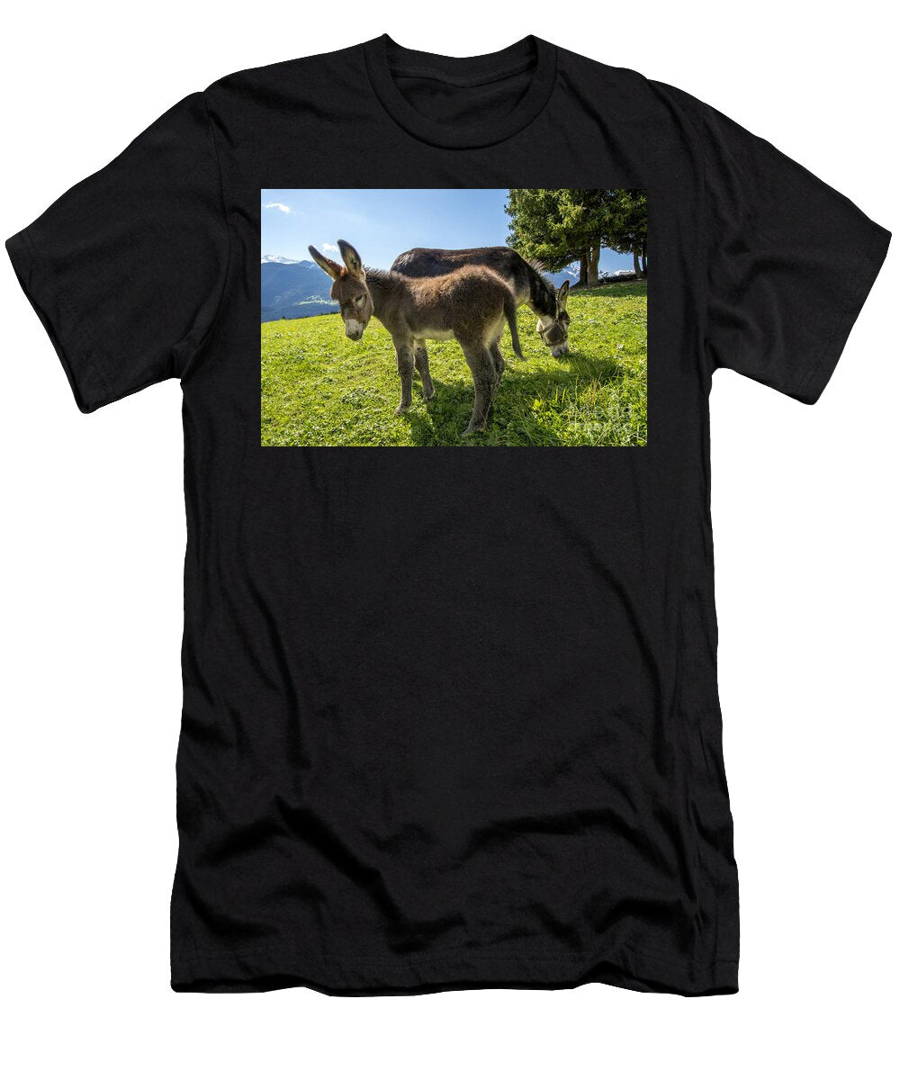 Donkeys in a Meadow Bernard Jaubert T-Shirt