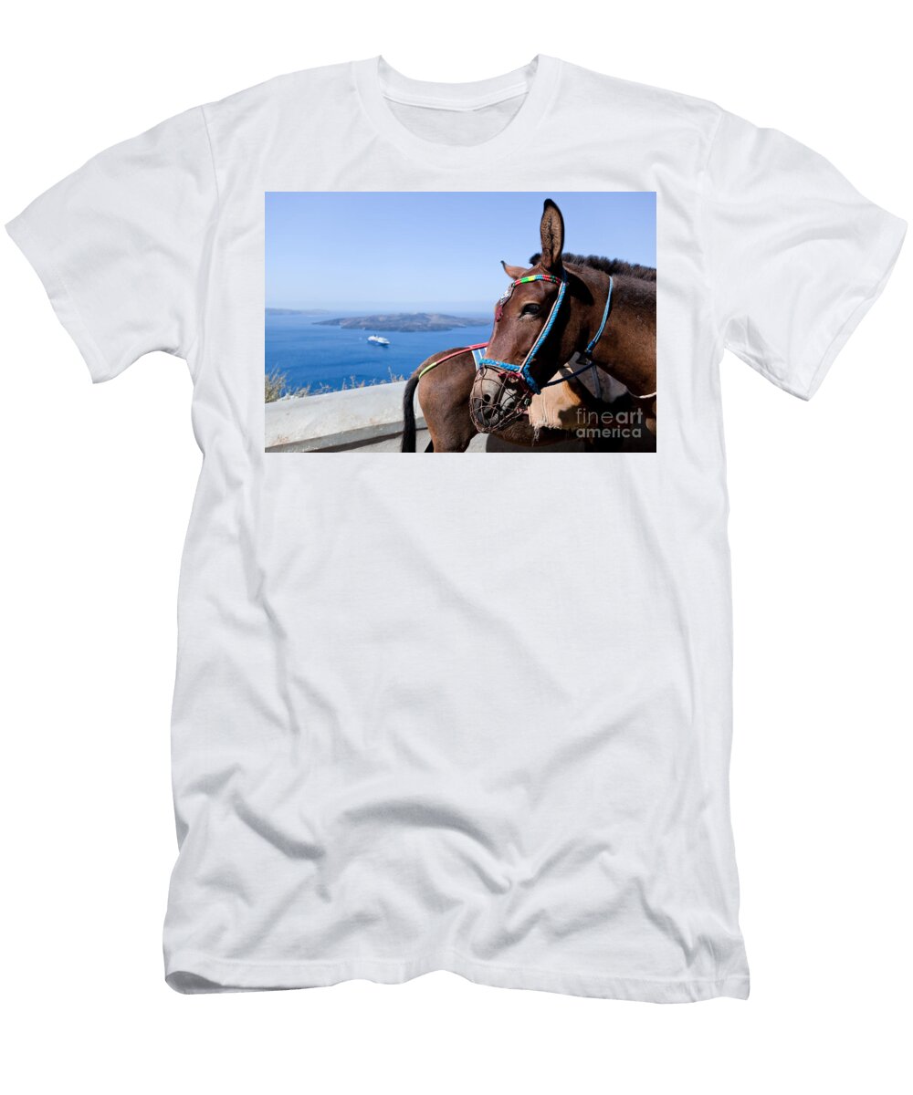 Donkeys in Fira on the Santorini Island Michal Bednarek T-Shirt
