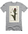 Donkeys Thistle or Onopordon False Acanth V European School T-Shirt