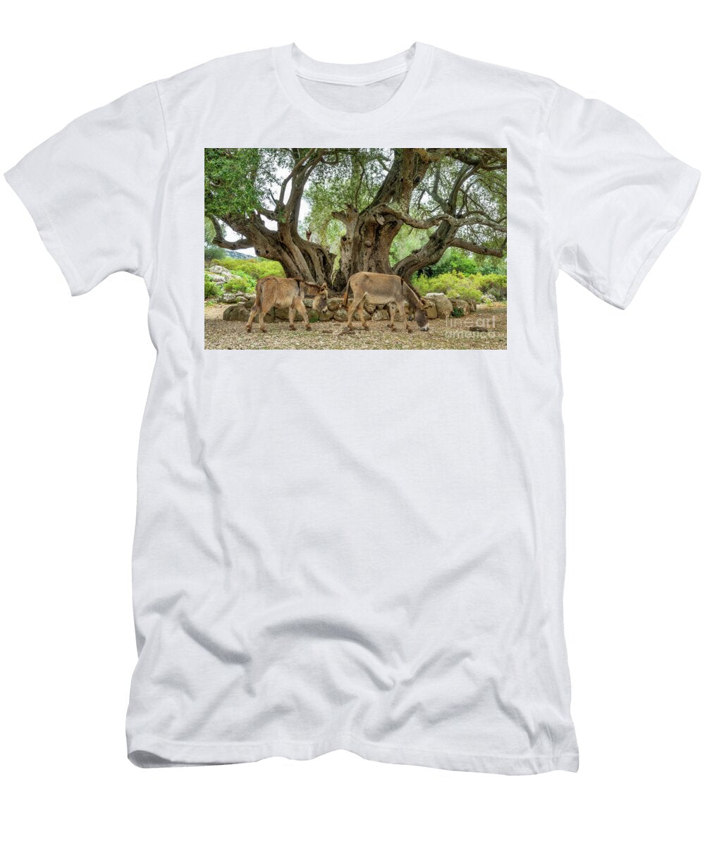 Donkeys Under an Ancient Olive Tree Sardinia Island Delphimages Photo Creations T-Shirt