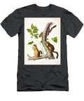 Douglasss Squirrel John James Audubon T-Shirt