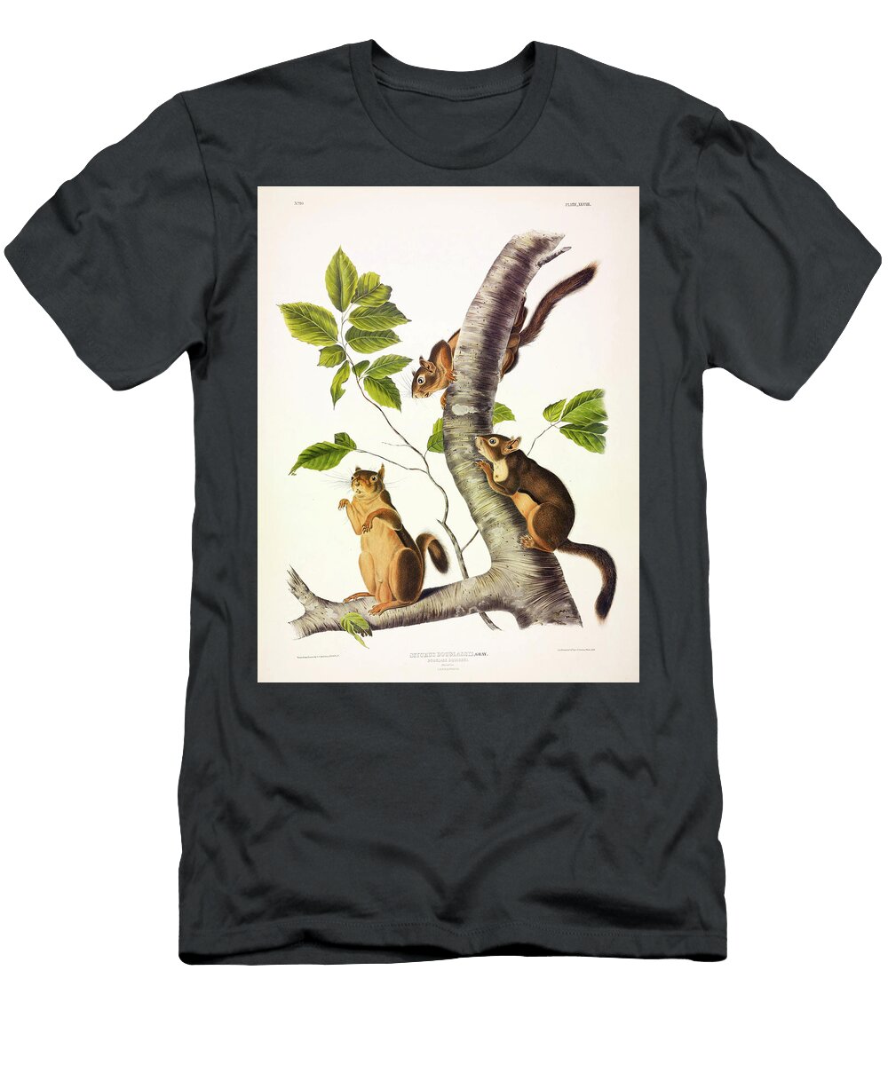 Douglasss Squirrel John James Audubon T-Shirt