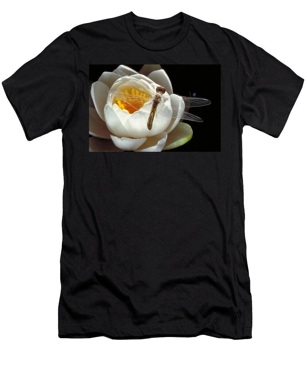Dragonfly Water Lily Robert Noonan T-Shirt