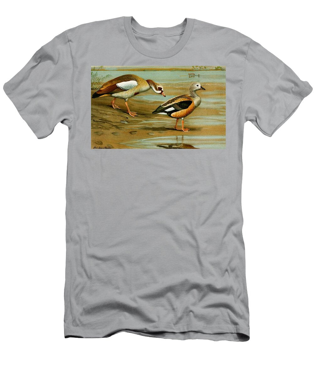 Egyptian Goose Orinoco Goose Louis Agassiz Fuertes American T-Shirt