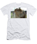 Elephant in Park Close Up Johan Ferret T-Shirt
