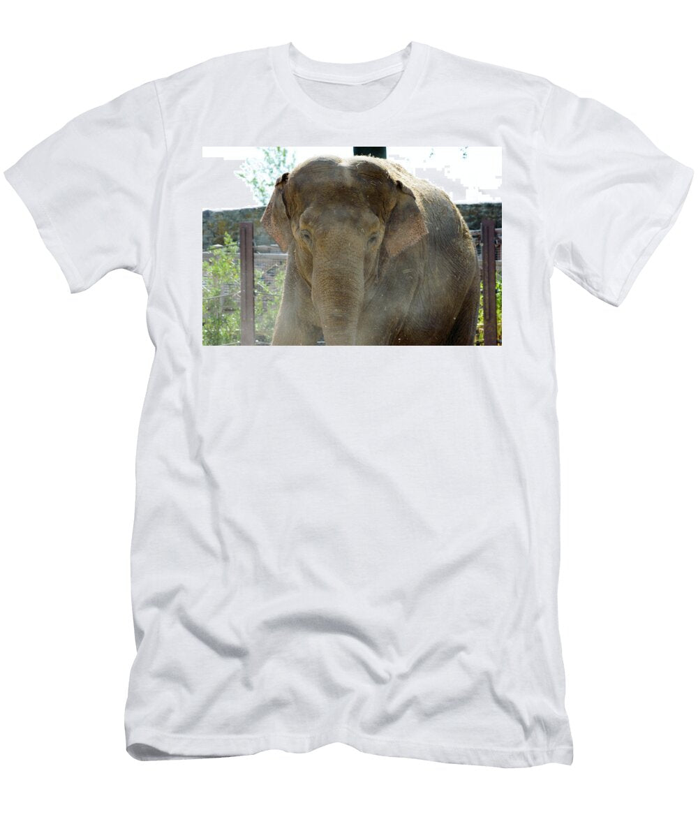 Elephant in Park Close Up Johan Ferret T-Shirt