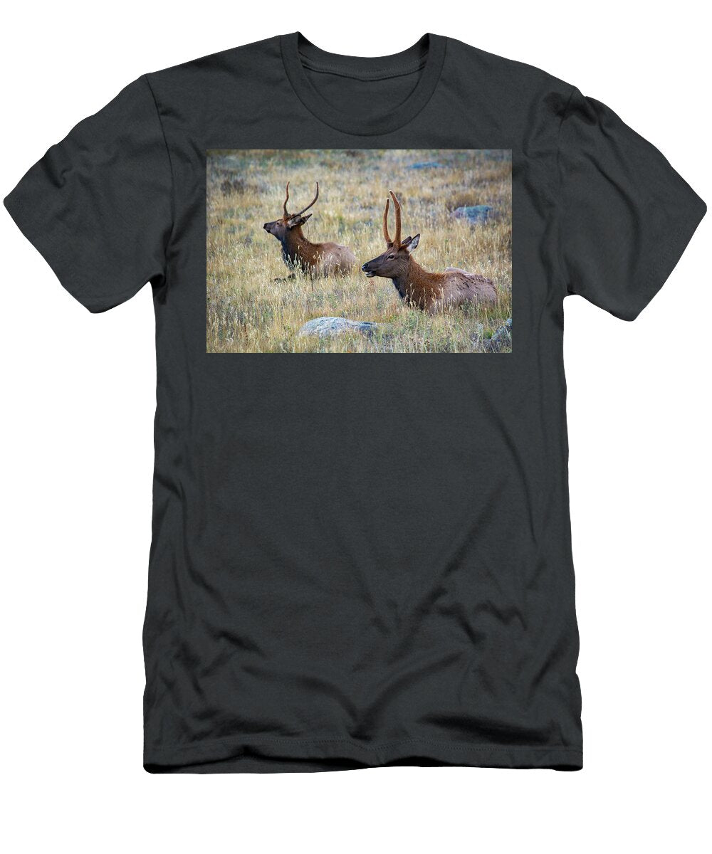 Elk Rocky Mountains Kyle Hanson T-Shirt