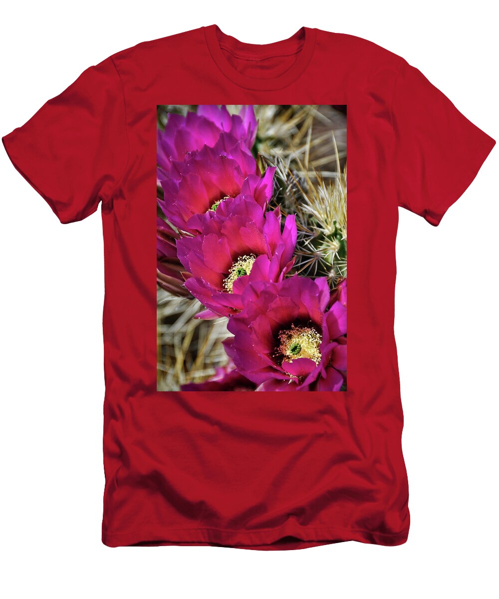 Englemans Hedgehog Cactus Saija Lehtonen T-Shirt