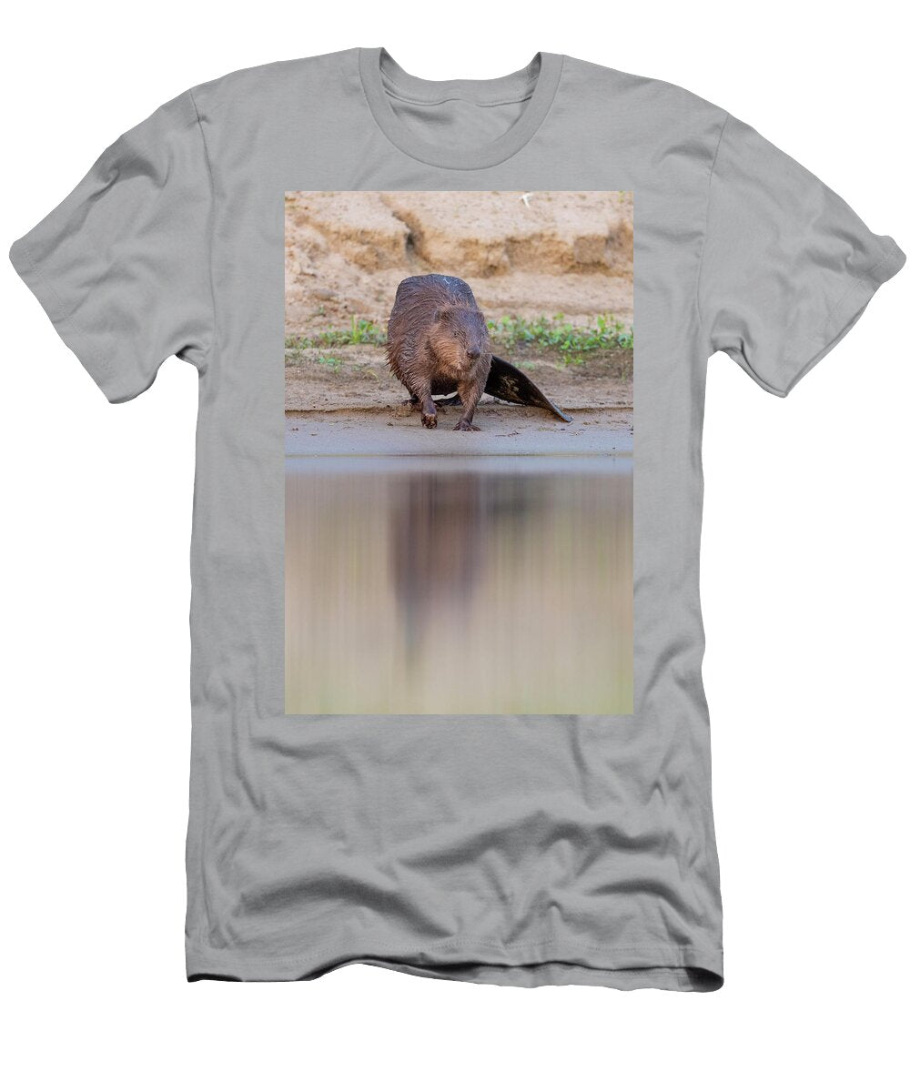 Eurasian Beaver a Reintroduced Species Standing on Staffan Widstrand Natureplcom T-Shirt