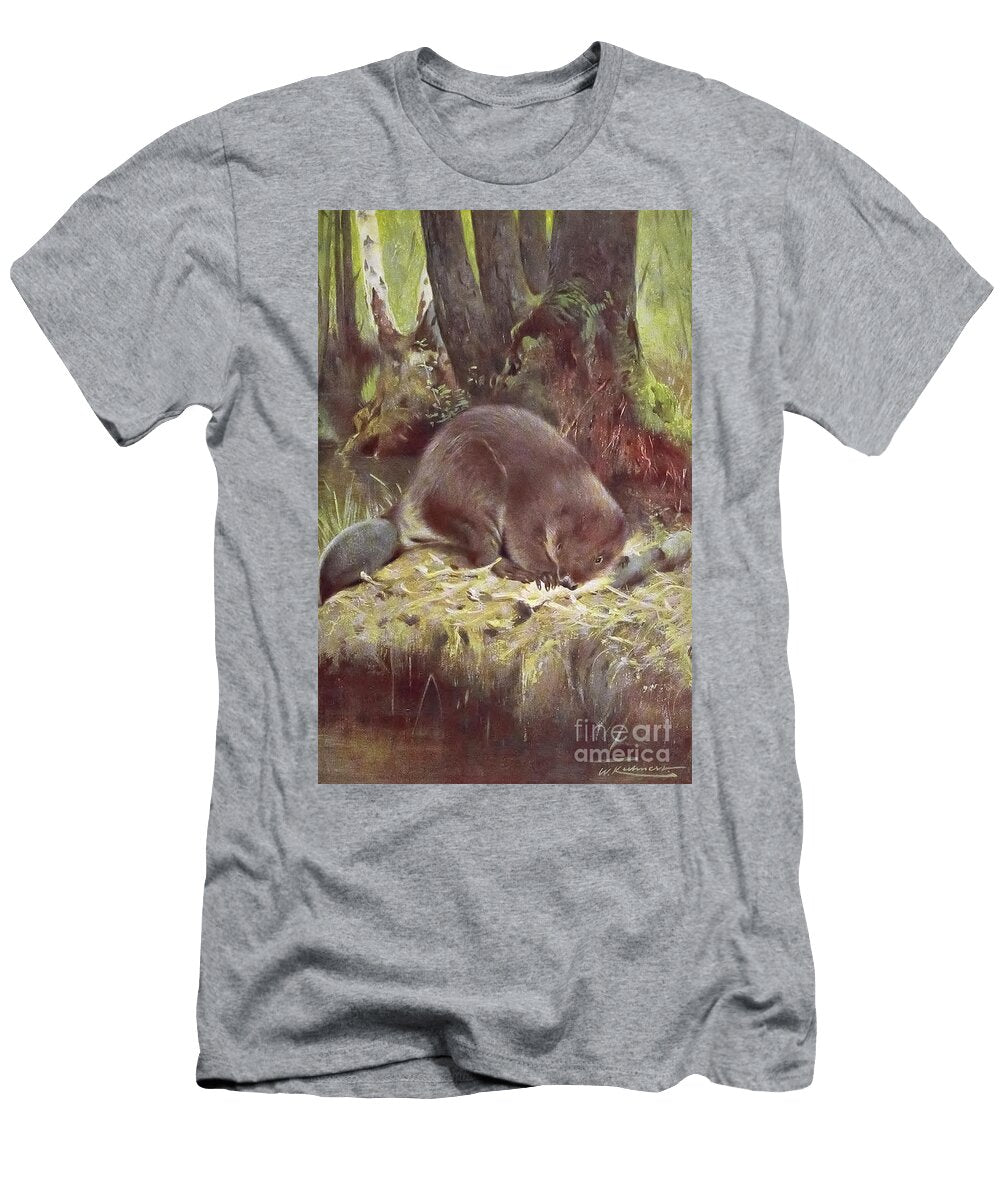 Eurasian Beaver Castor Fiber J1 Historic Illustrations T-Shirt