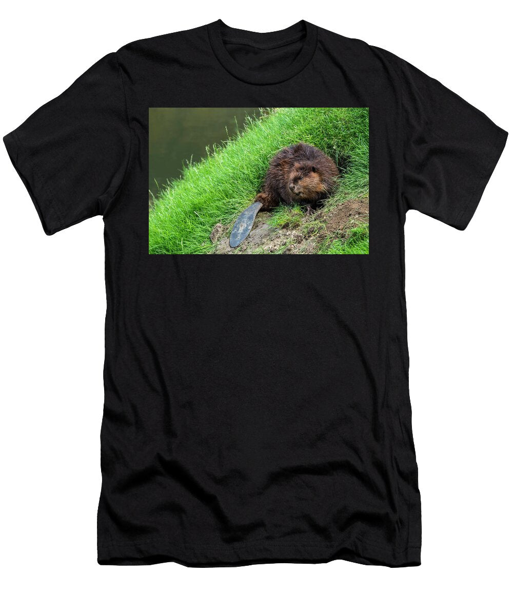 Eurasian Beaver European Beaver in Front of Burrow in Philippe Clement Natureplcom T-Shirt