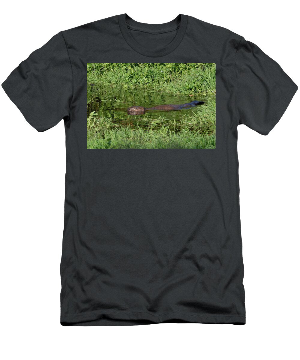 Eurasian Beaver Female Swimming in River River Otter Nick Upton Natureplcom T-Shirt