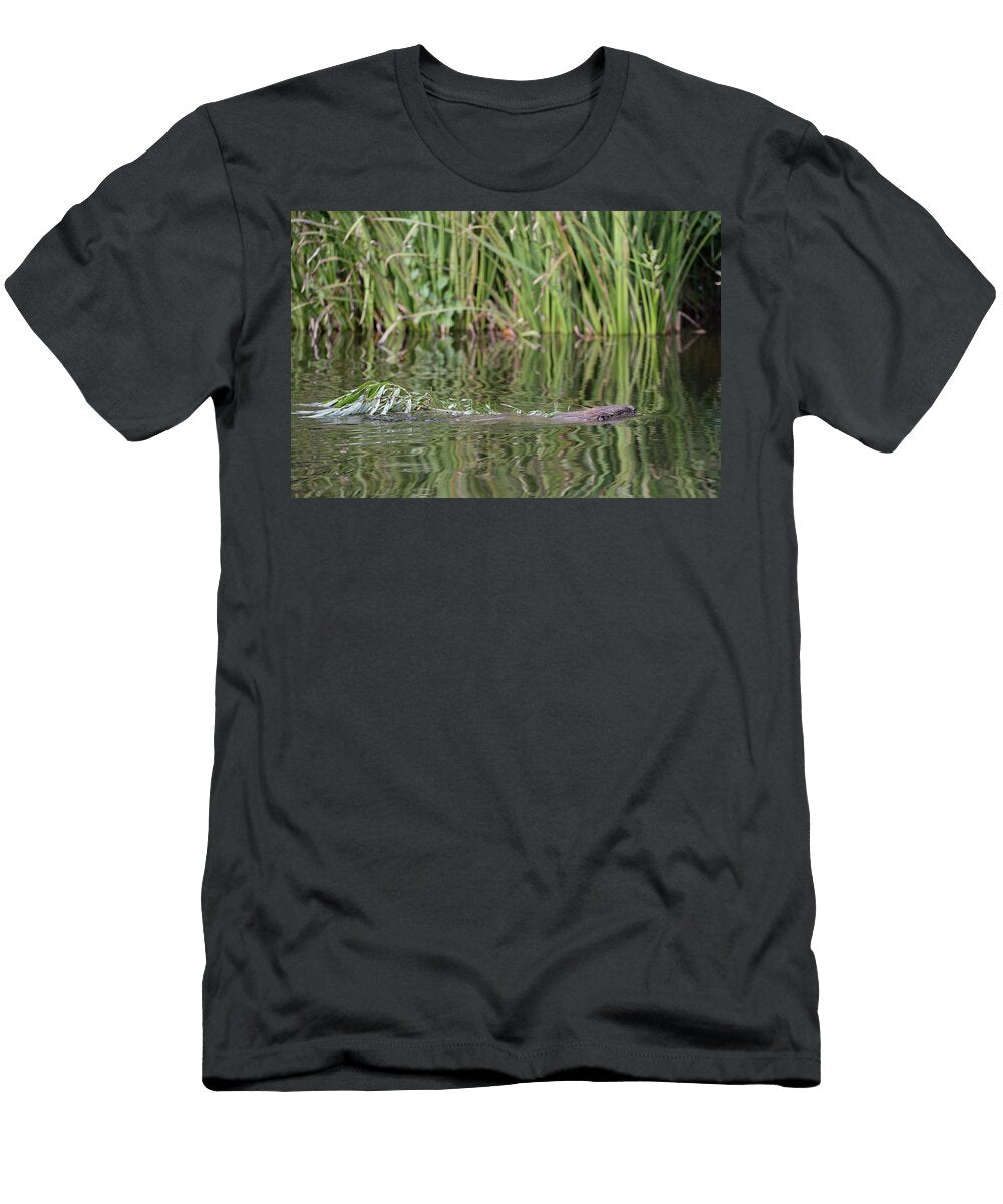 Eurasian Beaver Mother Swimming and Dragging a Willow Nick Upton Natureplcom T-Shirt