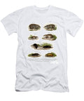 Euroean Hedgehog 1860 German School T-Shirt