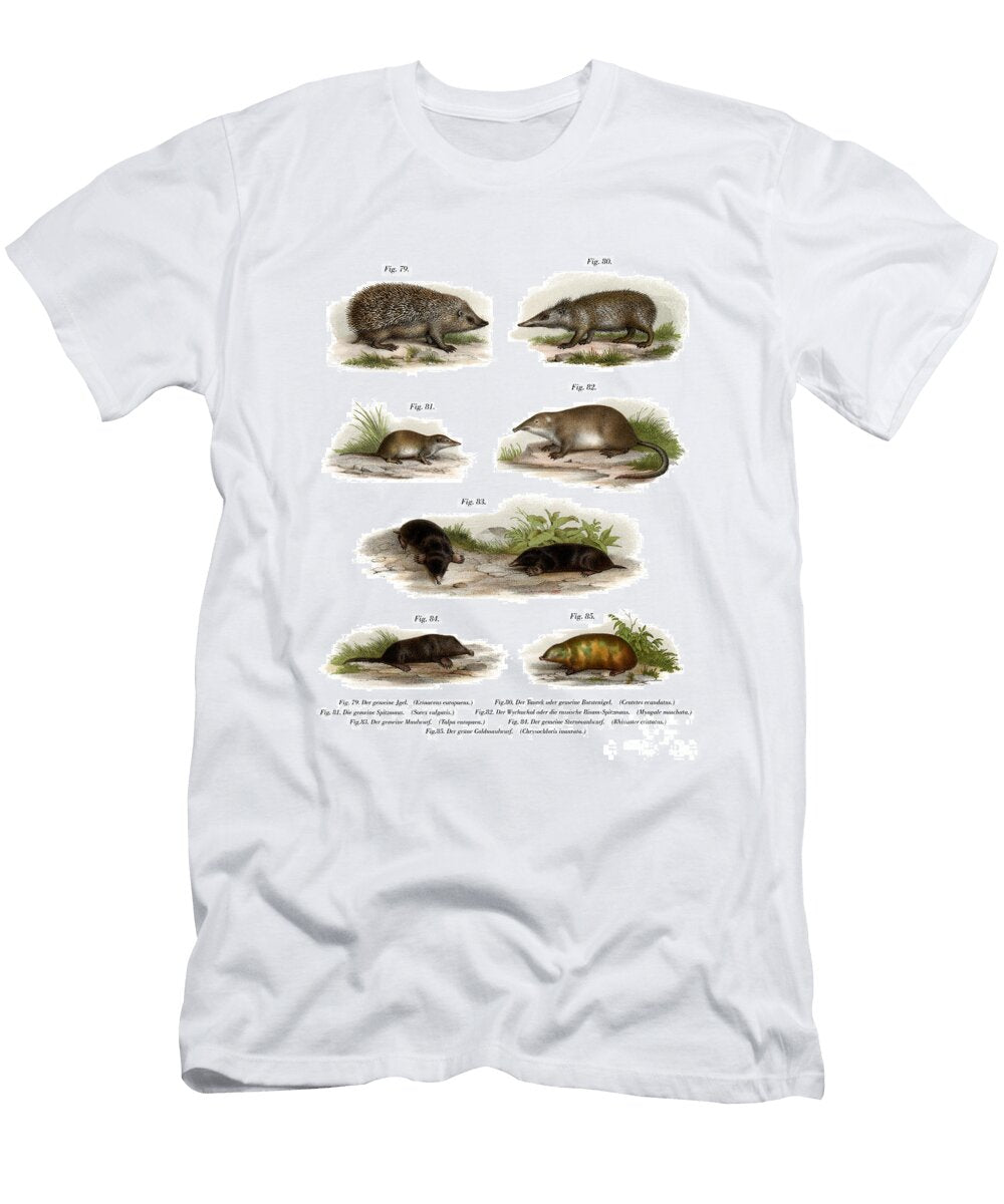 Euroean Hedgehog 1860 German School T-Shirt