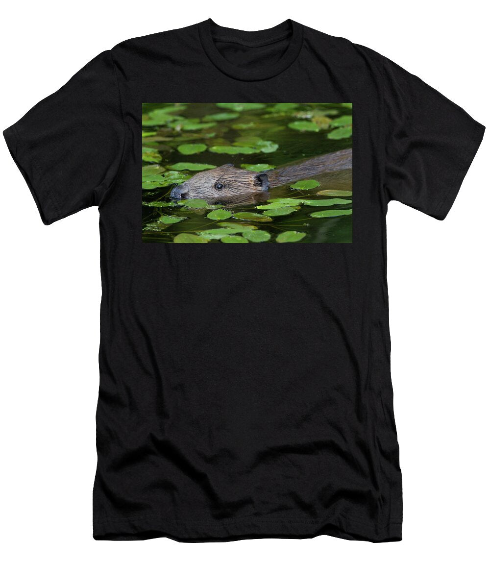 European Beaver Amongst Pondweed in Freshwater Lake Bevis David Woodfall Natureplcom T-Shirt
