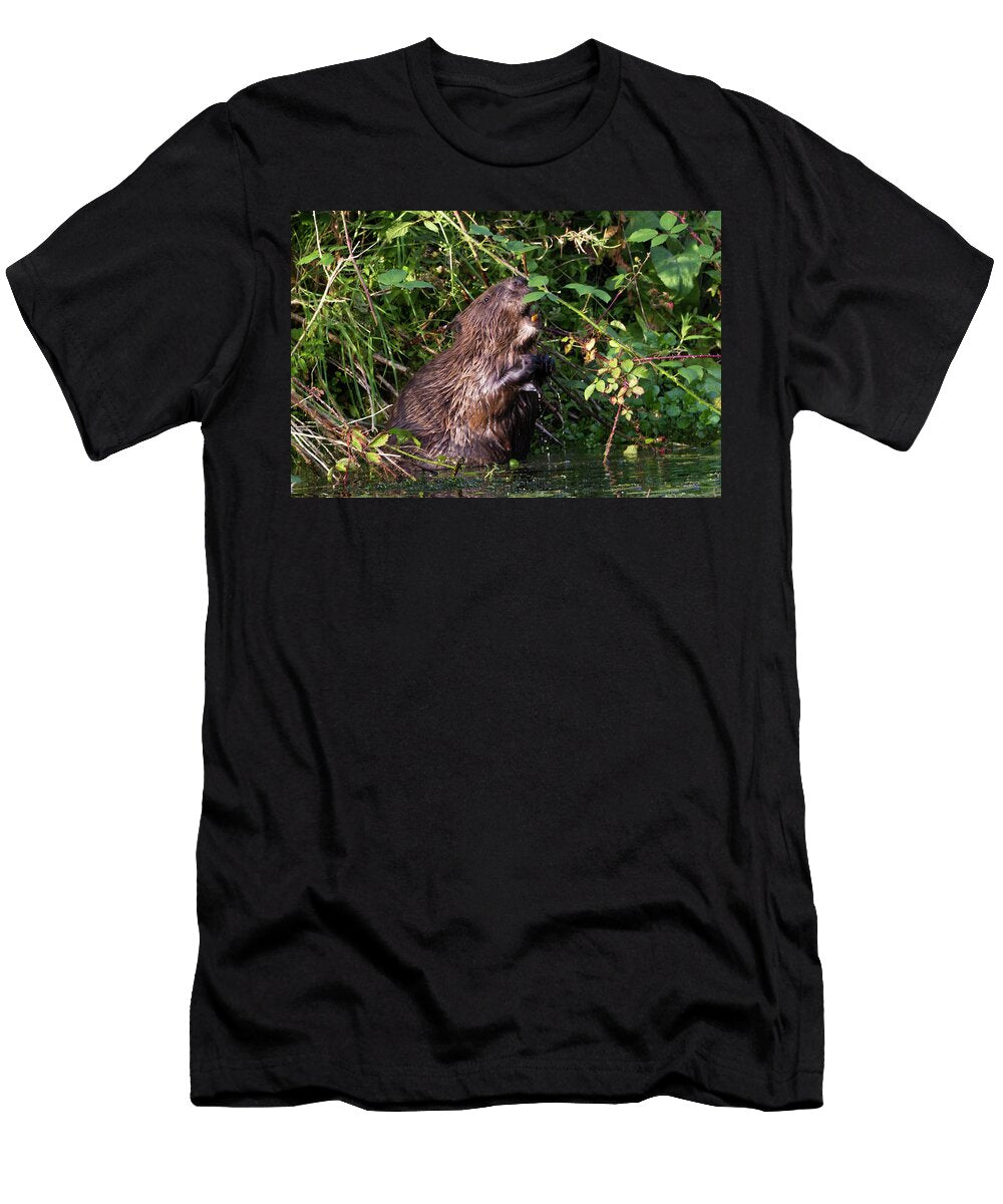 European Beaver Eating Blackberries Bevis Trust David Woodfall Natureplcom T-Shirt