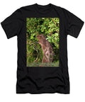 European Beaver Eating Blackberries By Standing on Its Hind David Woodfall Natureplcom T-Shirt