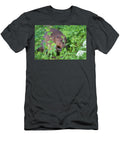 European Beaver Eating Willow At Edge of Wetland Captive David Woodfall Natureplcom T-Shirt