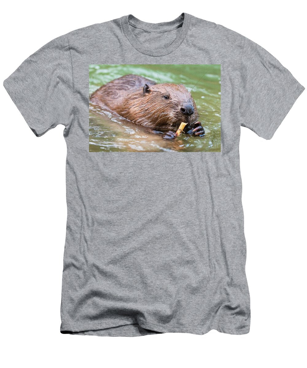 European Beaver Feeding in Water Alhama River Ebro Eduardo Blanco Natureplcom T-Shirt