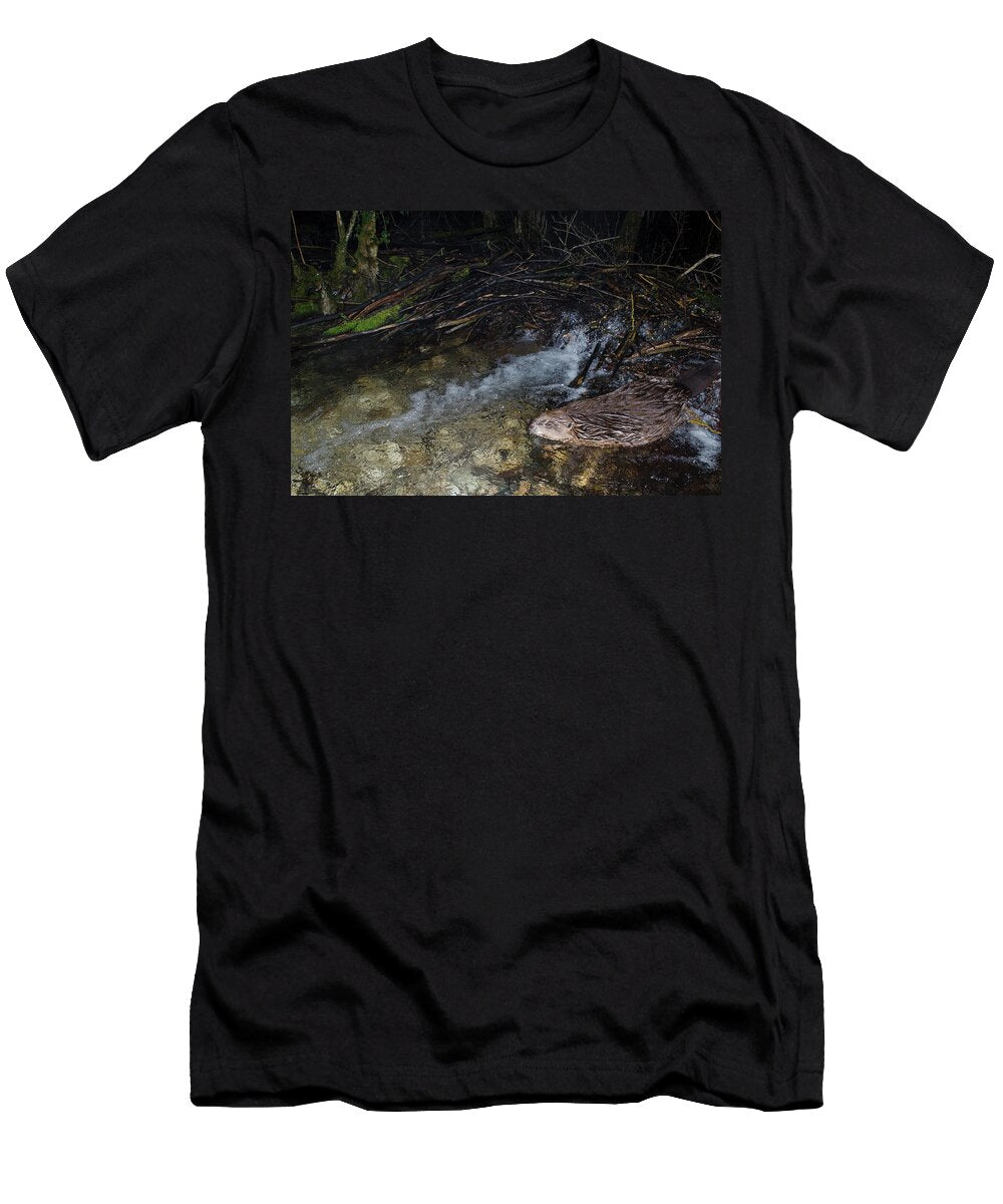 European Beaver on His Dam By Night Remotely Triggered By Remi Masson Natureplcom T-Shirt