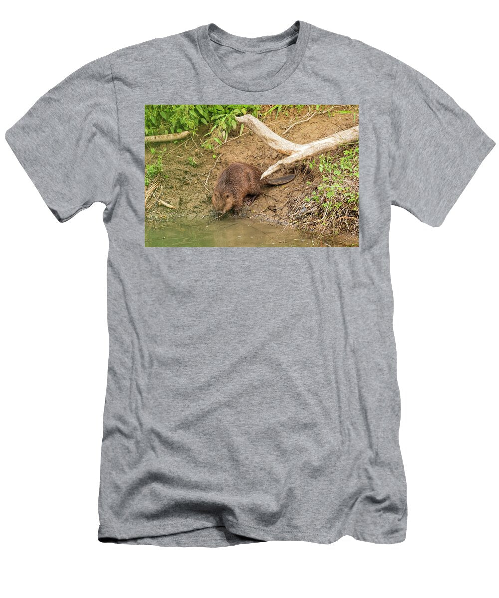 European Beaver on the Riverbank Alhama River Ebro Eduardo Blanco Natureplcom T-Shirt