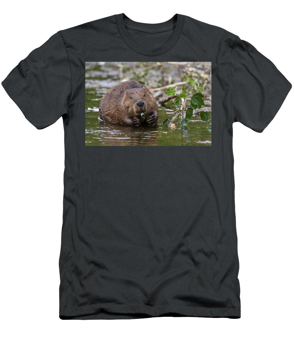 European Beaver Portrait Alhama River Ebro Valley Eduardo Blanco Natureplcom T-Shirt