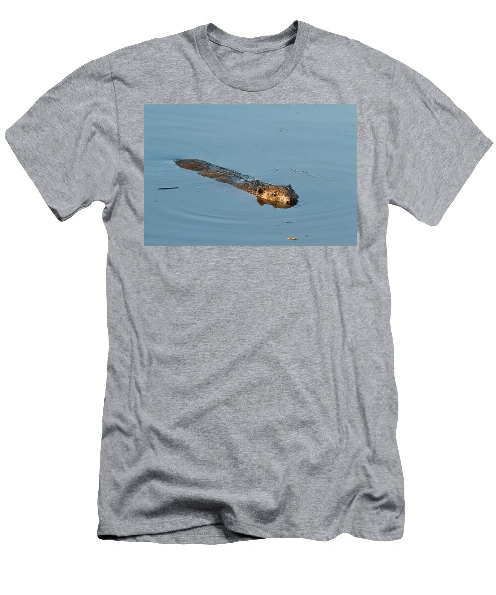 European Beaver Swimming in Wetland in Captive Breeding David Woodfall Natureplcom T-Shirt