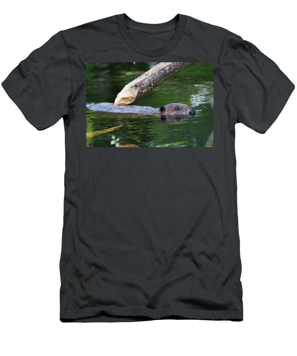 European Beaver Underneath Alder Eaten to a Point Bevis David Woodfall Natureplcom T-Shirt