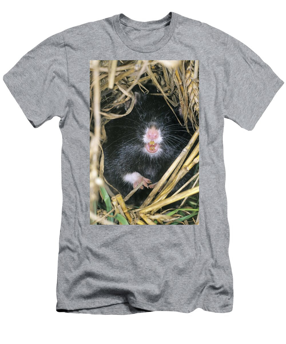 European Hamster Duncan Usher T-Shirt