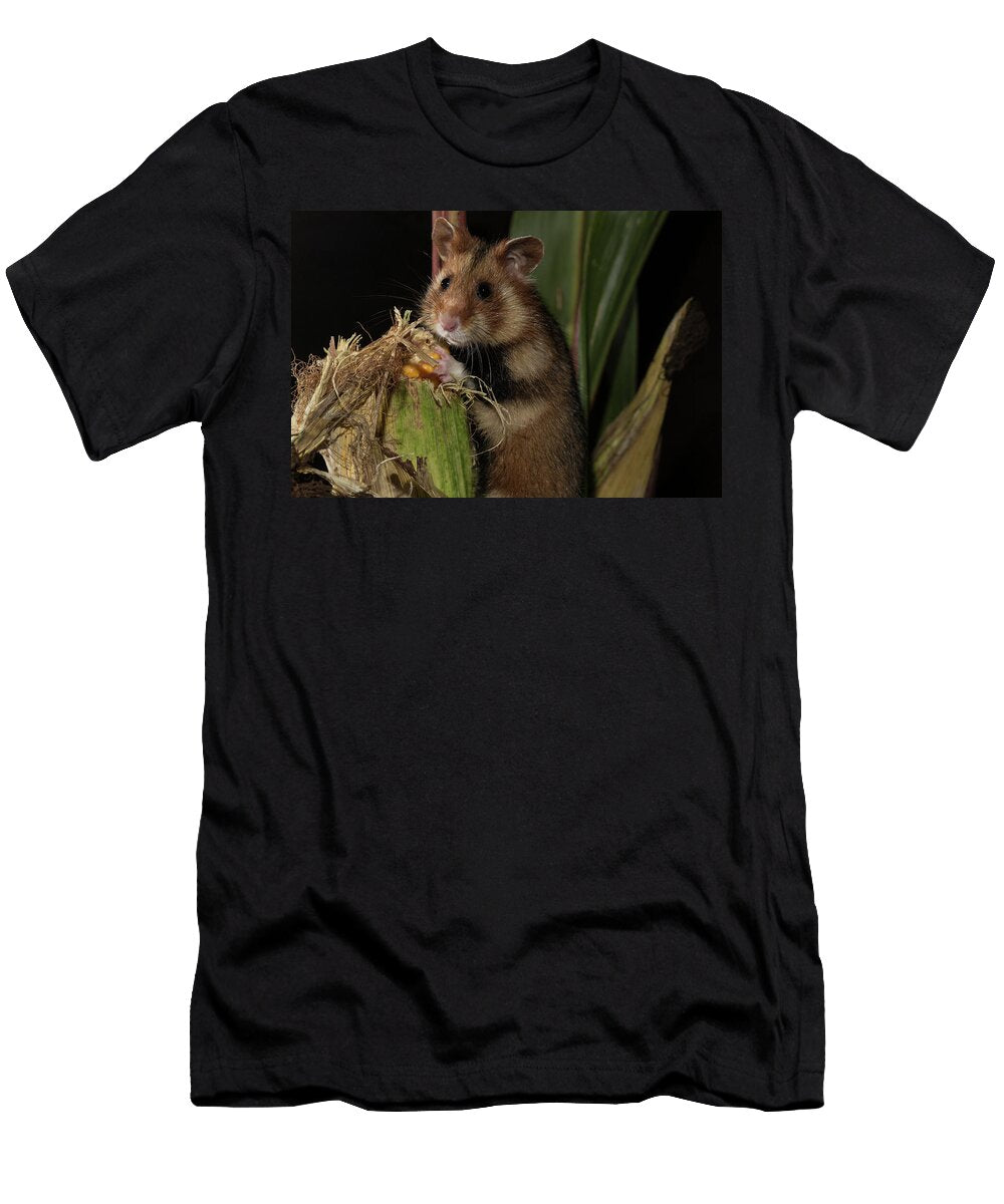 European Hamster Feeding on Maize Captive Occurs in Kerstin Hinze Natureplcom T-Shirt